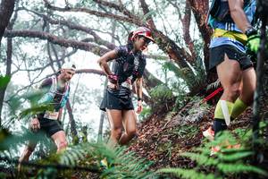 BIB: 
                            <button type="button" onclick="openModal(26295377)" class="btn btn-primary btn-sm float-right btn-popup" data-toggle="modal" data-target=".modal-high-quality">
                        <i class="fas fa-shopping-cart"></i> Add to Cart
                    </button>
                                            <button type="button" onclick="isThisMe(26295377, true)" class="btn btn-success btn-sm float-right btn-popup btn-isme hidden" data-toggle="tooltip" data-placement="bottom" title="นี่คือรูปของคุณใช่ไหม คลิกที่นี่เพื่อเอาเข้าอัลบั้ม">
                        <i class="fas fa-plus"></i> Add to album
                    </button>
                    <button type="button" onclick="isThisMe(26295377, false)" class="btn btn-warning btn-sm float-right btn-popup btn-isnotme hidden">
                        <i class="fas fa-ban"></i> Remove from album
                    </button>